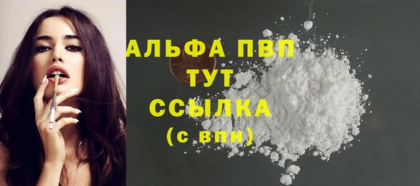 apvp Гусь-Хрустальный