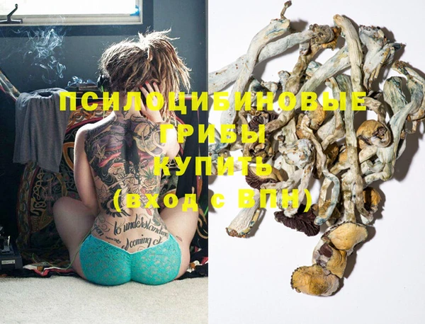 экстази Гусиноозёрск