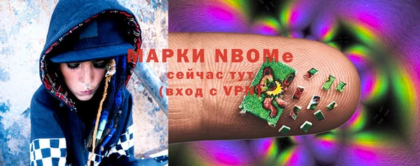 apvp Гусь-Хрустальный