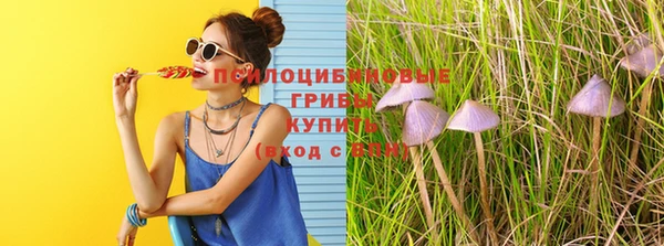 экстази Гусиноозёрск