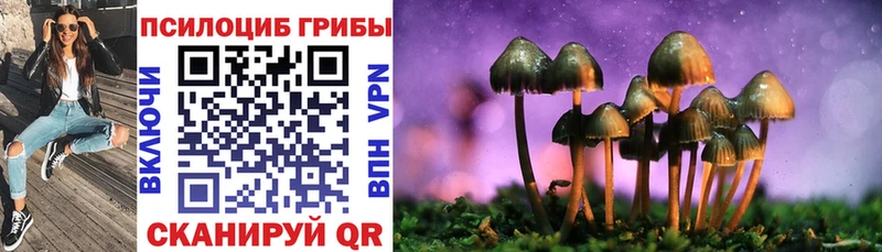 Галлюциногенные грибы мицелий  Купить закладки  Красный Холм 